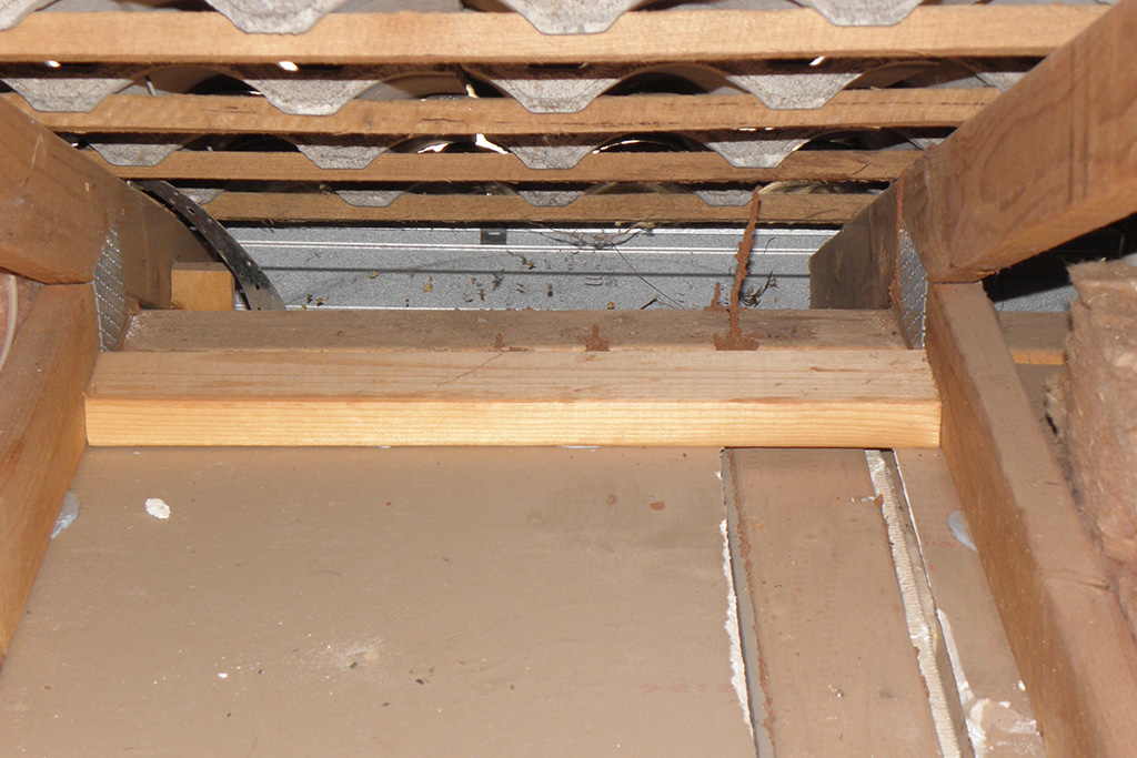 Gawler-Pest-Control-Residential-Solutions_0003_Termites in roof void 1